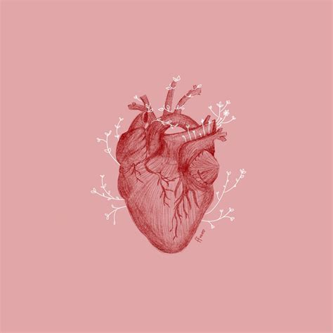 cardiophile|CARDIOPHILE on Tumblr.